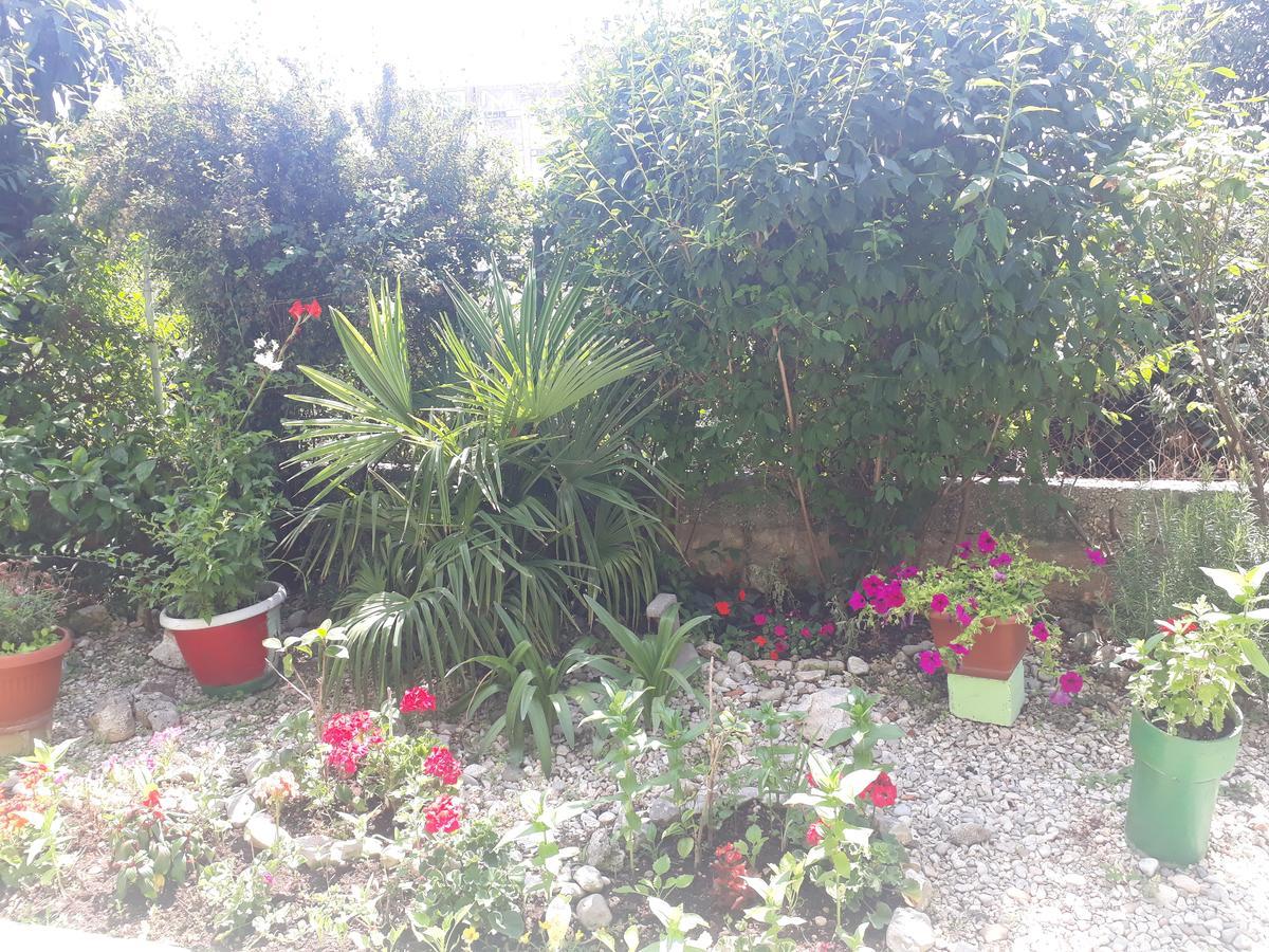 Green Hostel Zadar Exterior photo